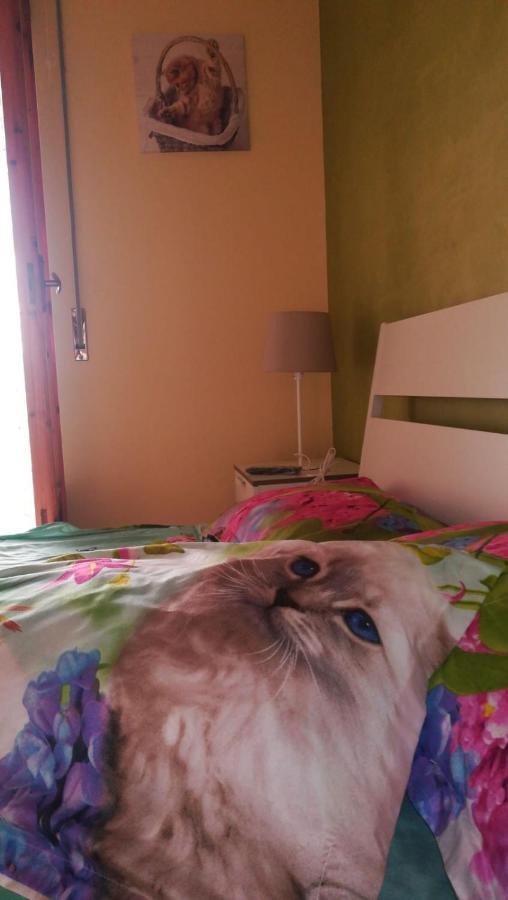 Terra Bianca Bed & Breakfast Trani Dış mekan fotoğraf